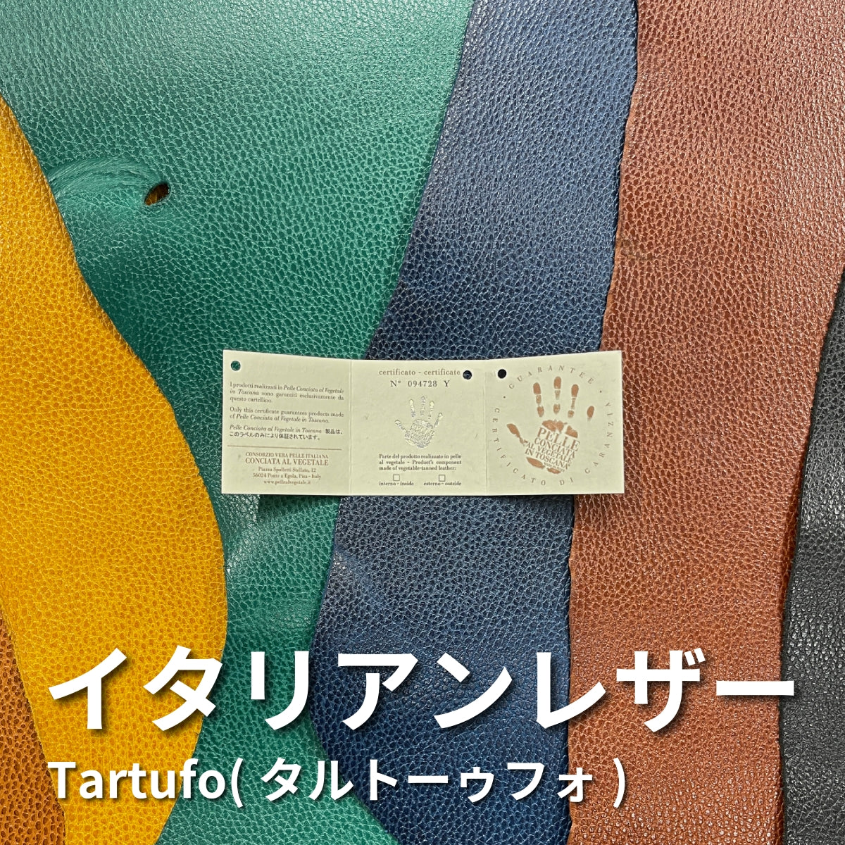 イタリアンレザー Tartufo(タルトゥーフォ)